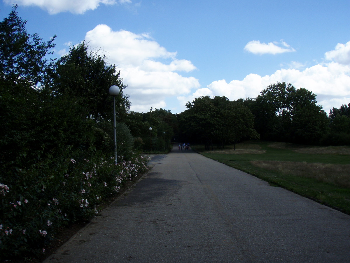 照片 法国(France) 科隆布(Colombes) 马朗特岛(L'ile Marrante) 2007-07 13