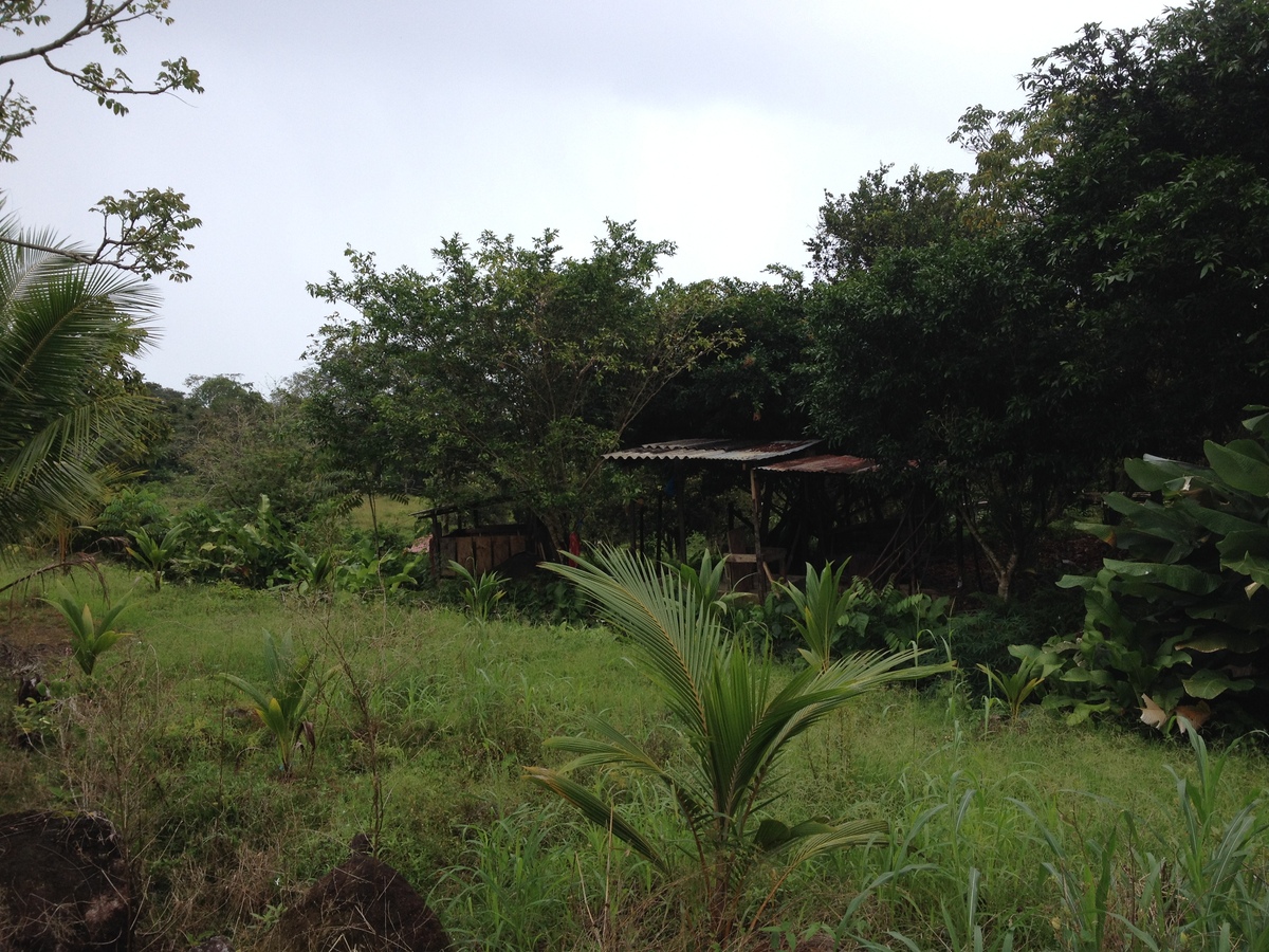 照片 巴拿马(Panama) 戴维至博卡斯德尔托罗(David to Bocas del toro) 2015-03 48