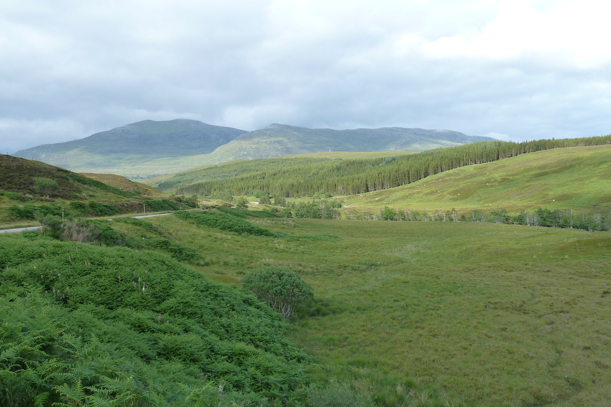照片 英国(United Kingdom) 韦斯特罗斯(Wester Ross) 2011-07 20