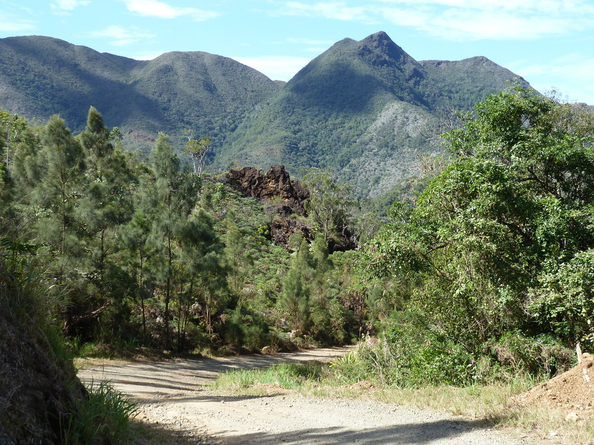 照片 新喀里多尼亚(New Caledonia) 蒂奥至卡纳拉公路(Thio to Canala road) 2010-05 35