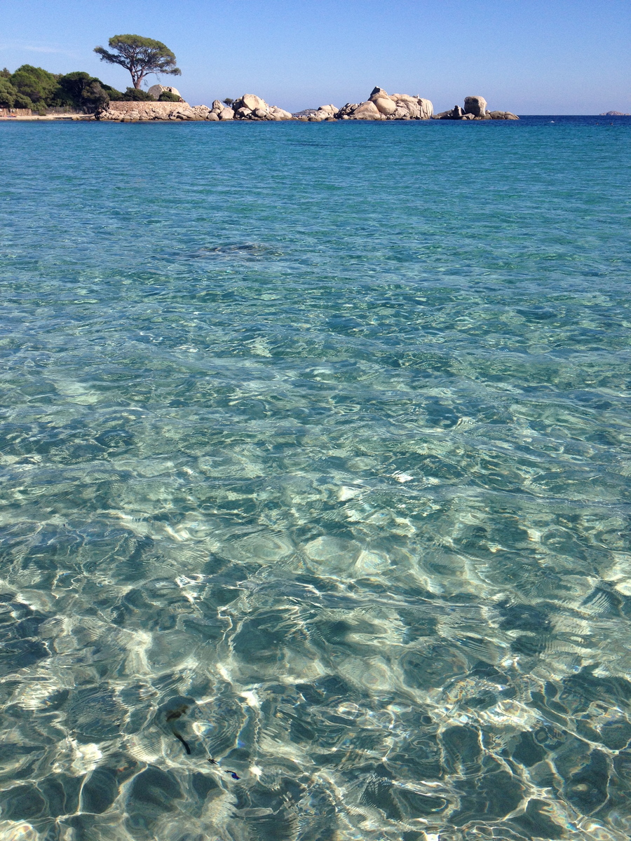 照片 法国(France) 科西嘉岛(Corsica) 帕隆巴贾(Palombaggia) 2012-09 65