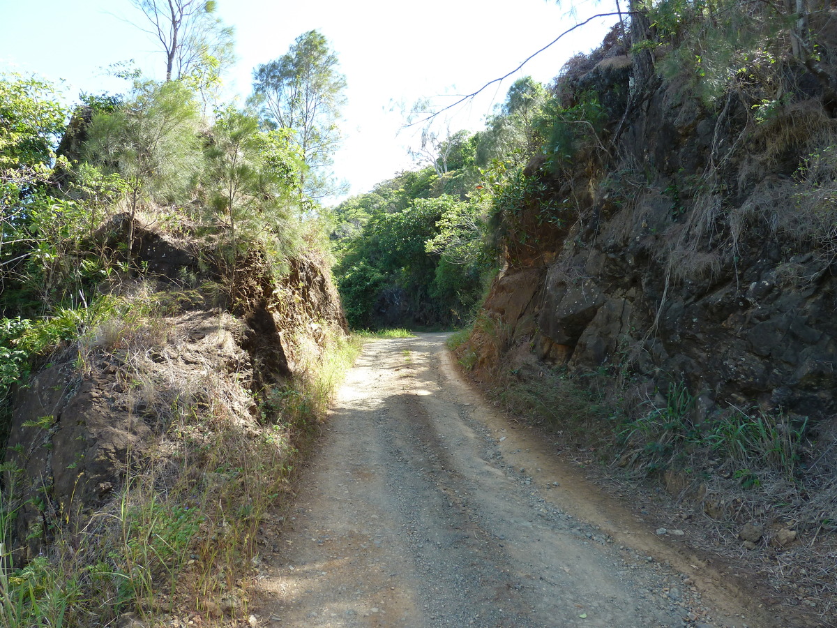 照片 新喀里多尼亚(New Caledonia) 蒂奥至卡纳拉公路(Thio to Canala road) 2010-05 38