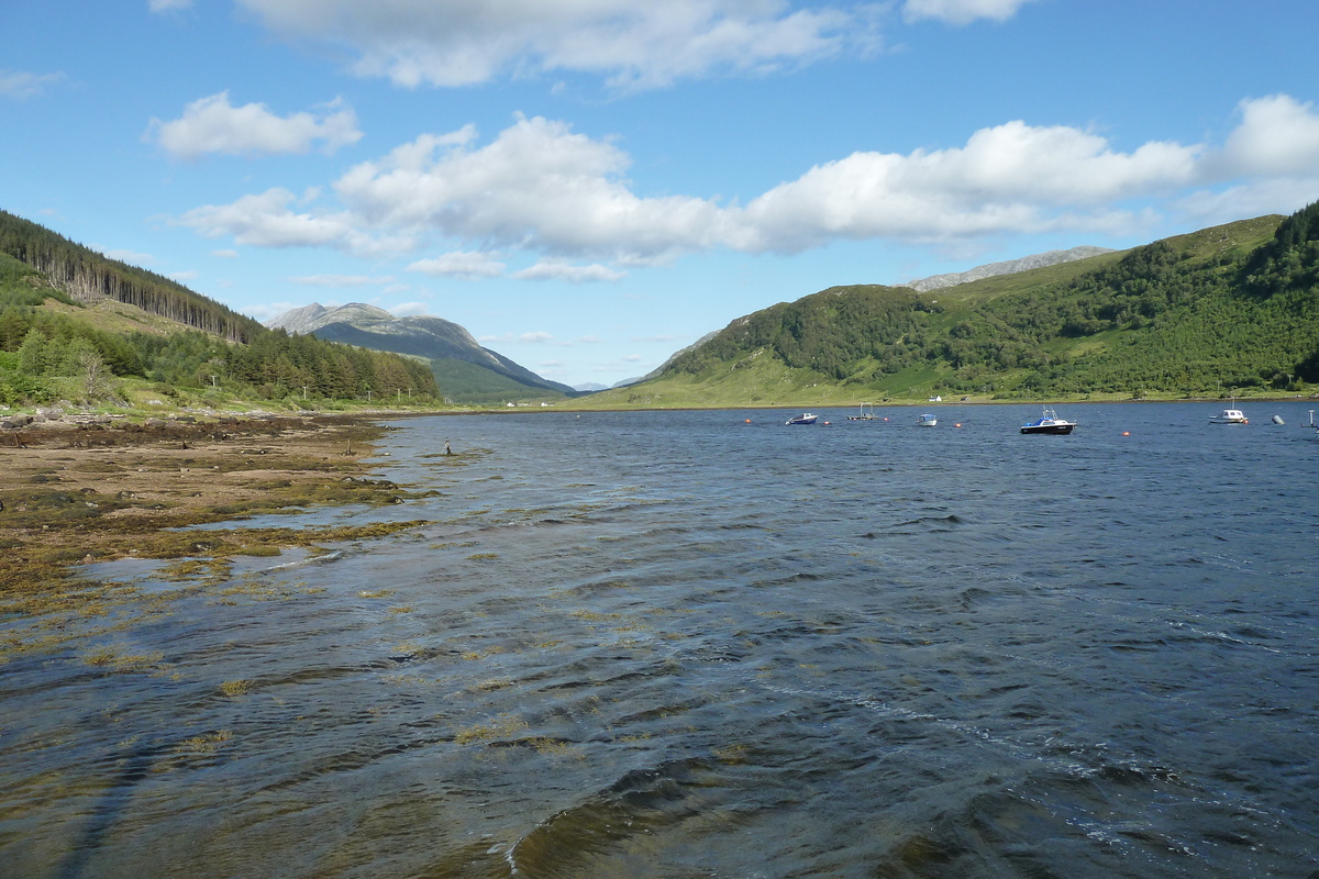 照片 英国(United Kingdom) 苏格兰(Scotland) 林尼湖(Loch Linnhe) 2011-07 64