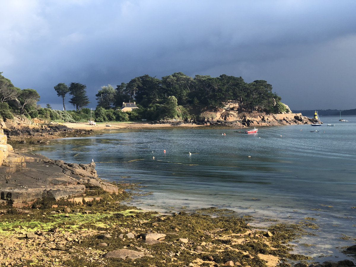 照片 法国(France) 布雷阿岛(Brehat Island) 2020-06 79