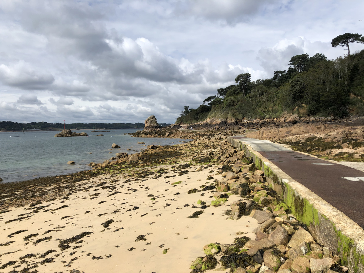 照片 法国(France) 布雷阿岛(Brehat Island) 2020-06 138