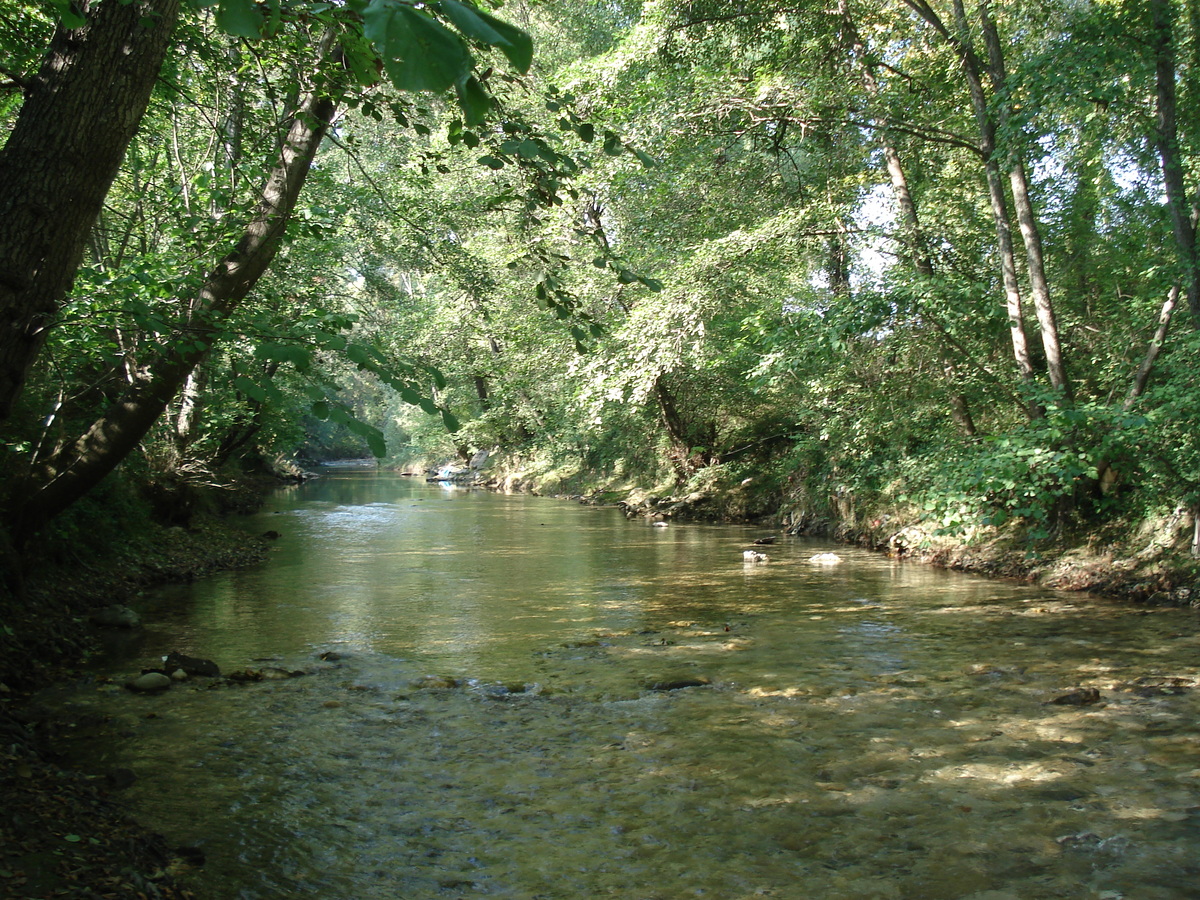 照片 法国(France) 维尔讷夫卢贝(Villeneuve Loubet) 2006-10 15