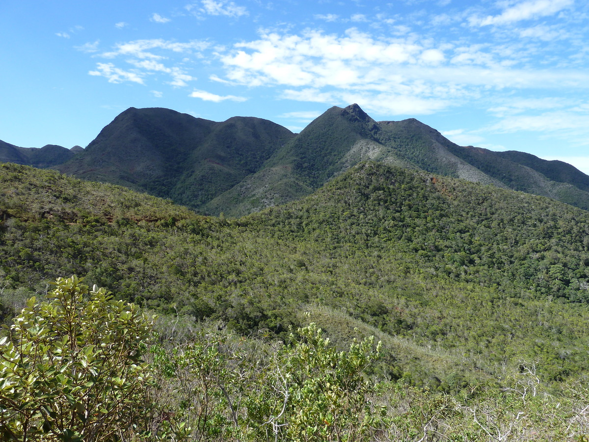 照片 新喀里多尼亚(New Caledonia) 蒂奥至卡纳拉公路(Thio to Canala road) 2010-05 45