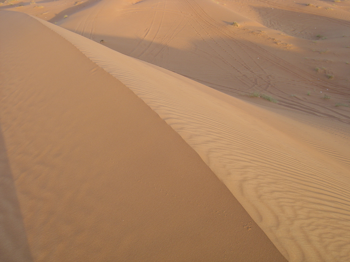 照片 阿联酋(United Arab Emirates) 艾因(Al Ain) 沙漠(Desert) 2005-11 0