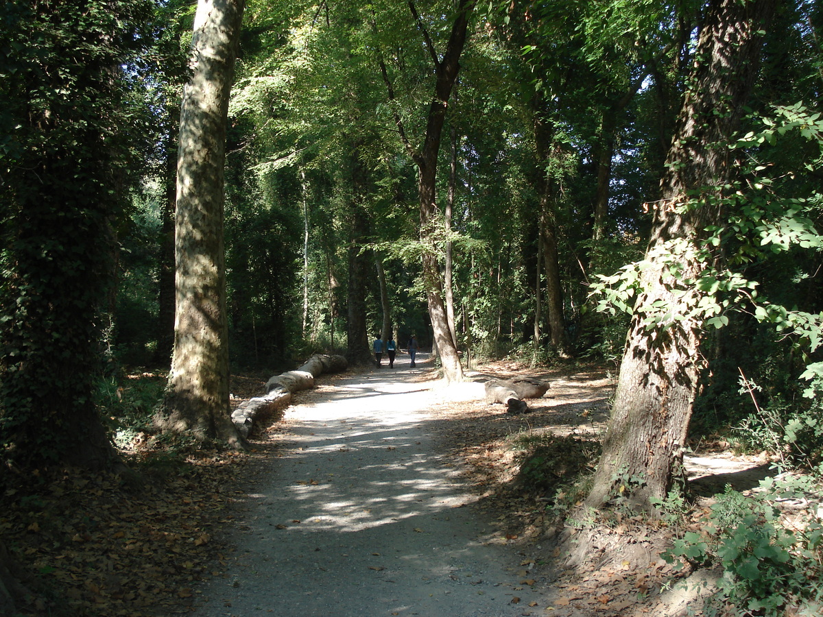 照片 法国(France) 维尔讷夫卢贝(Villeneuve Loubet) 2006-10 12