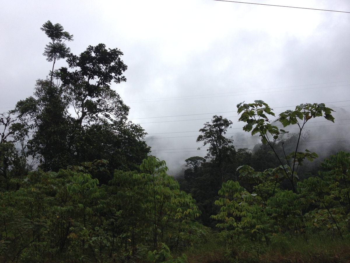 照片 巴拿马(Panama) 戴维至博卡斯德尔托罗(David to Bocas del toro) 2015-03 56