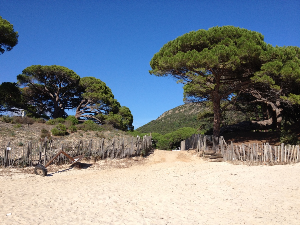 照片 法国(France) 科西嘉岛(Corsica) 帕隆巴贾(Palombaggia) 2012-09 19