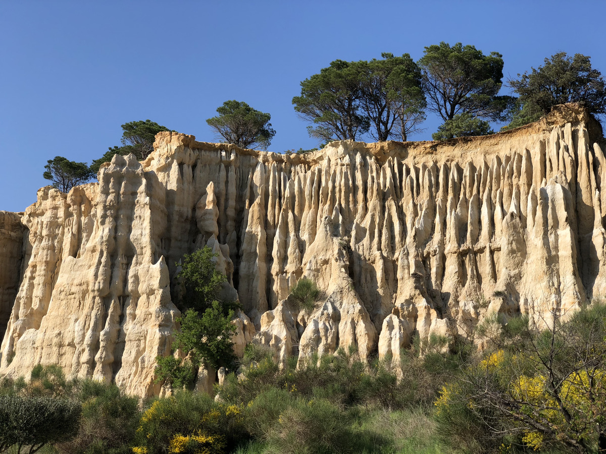 照片 法国(France) 泰特河畔伊勒管风琴石林(Orgues d'Ille Sur Tet) 2018-04 79