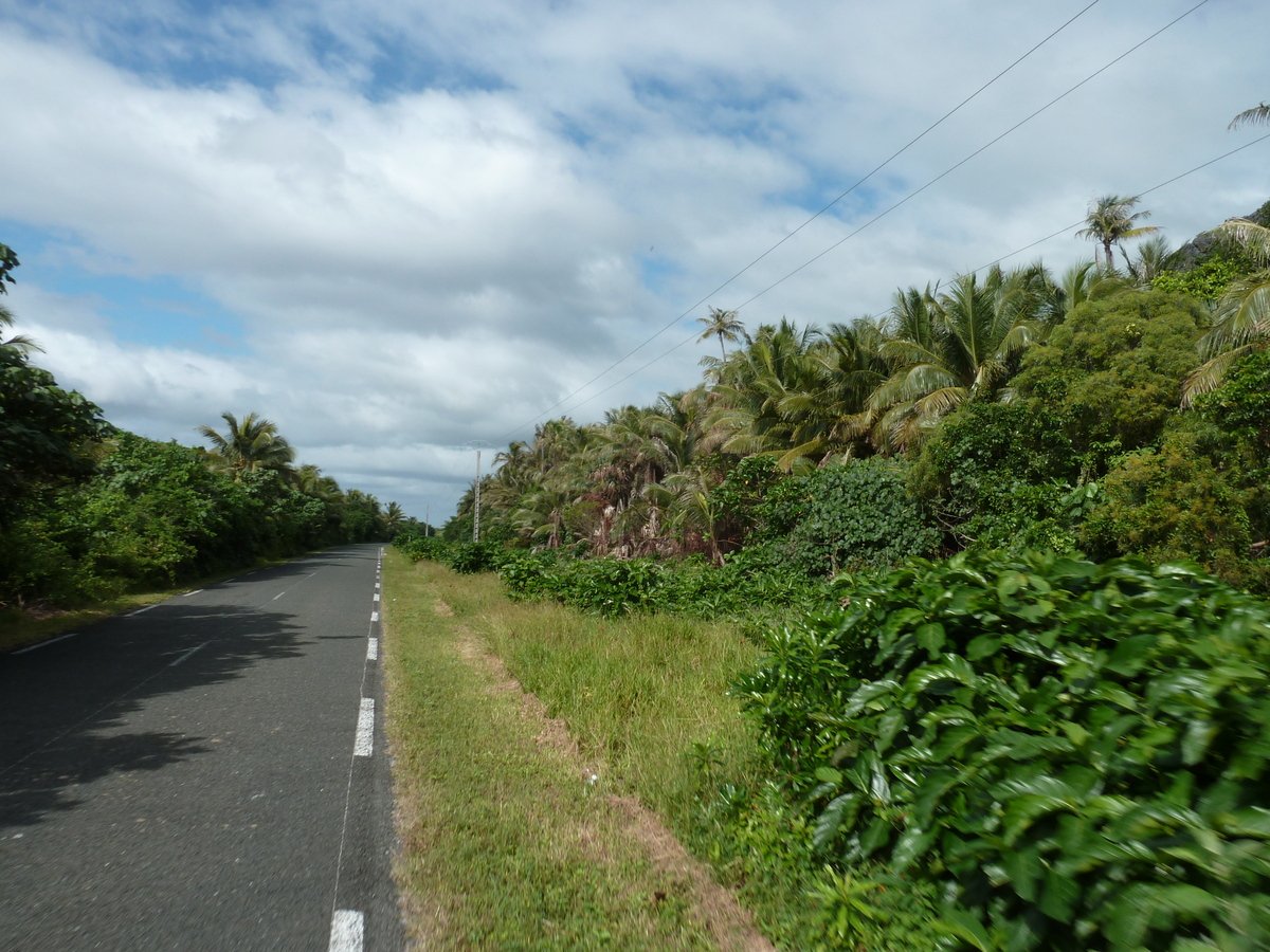 照片 新喀里多尼亚(New Caledonia) 利富岛(Lifou) 约西普(Josip) 2010-05 34