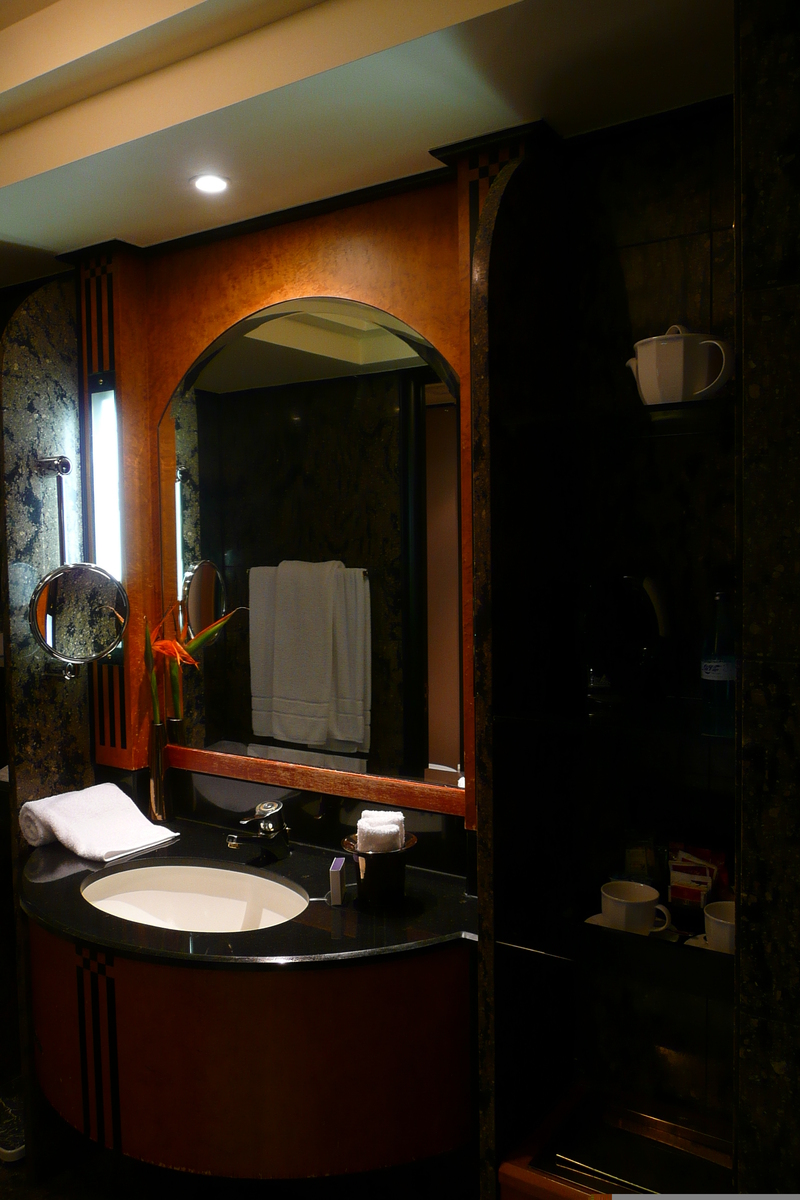 照片 南非(South Africa) 约翰内斯堡(Johannesburg) 洲际酒店(Intercontinental Hotel) 2008-09 18