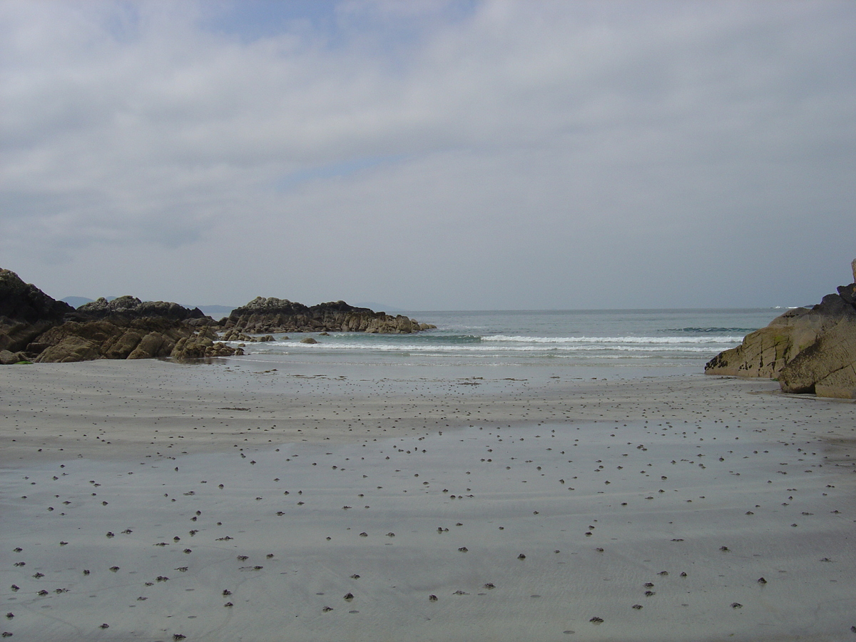 照片 爱尔兰(Ireland) 凯里郡(Kerry) 帕克纳西拉(Parknasilla) 2004-05 32