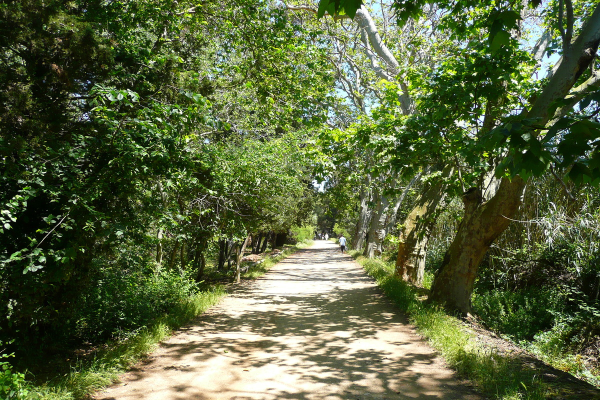 照片 法国(France) 波克罗勒岛(Porquerolles Island) 库尔塔德平原(Plaine de la courtade) 2008-05 41