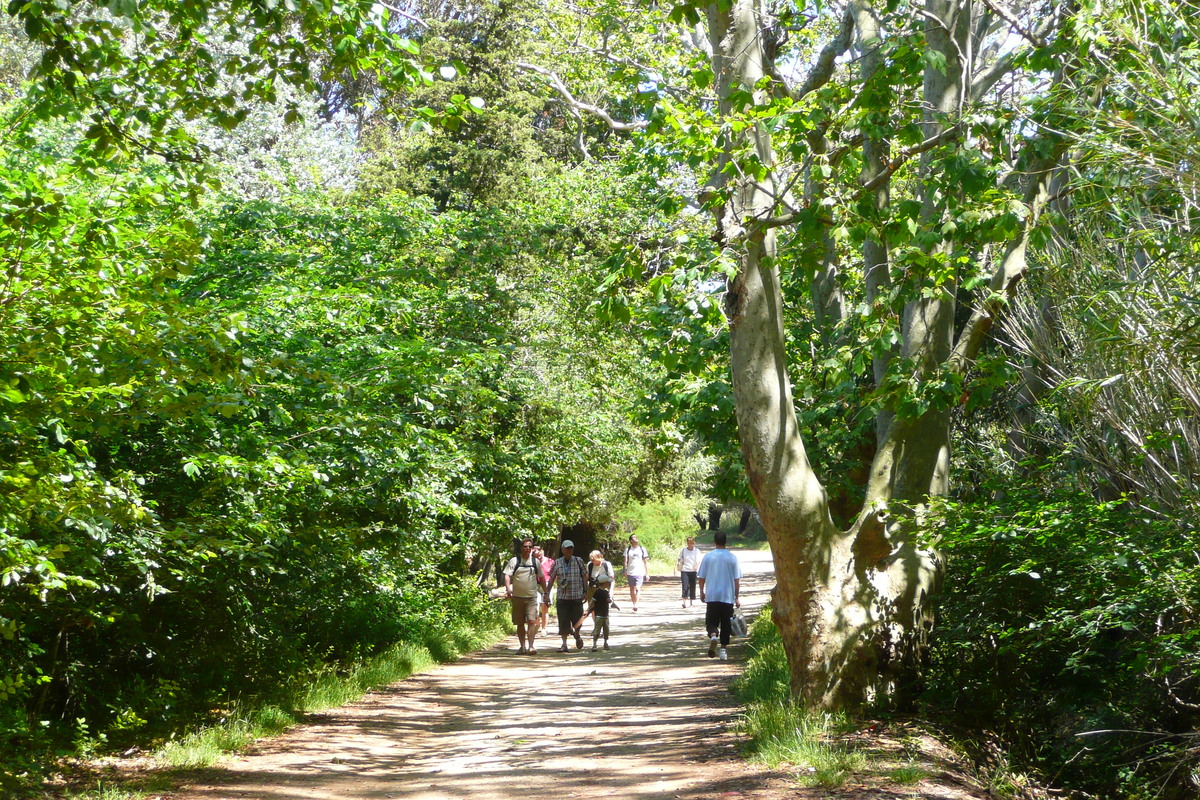 照片 法国(France) 波克罗勒岛(Porquerolles Island) 库尔塔德平原(Plaine de la courtade) 2008-05 25