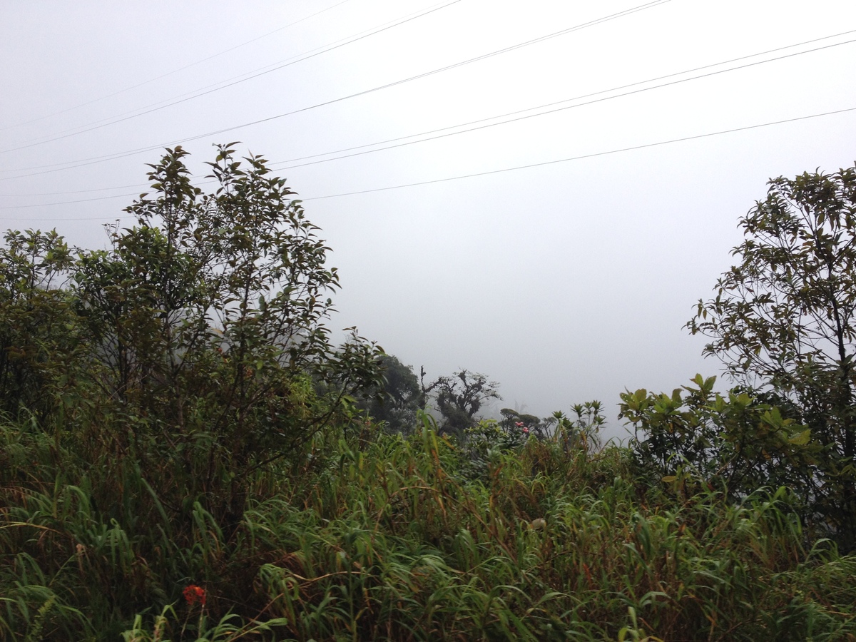 照片 巴拿马(Panama) 戴维至博卡斯德尔托罗(David to Bocas del toro) 2015-03 66
