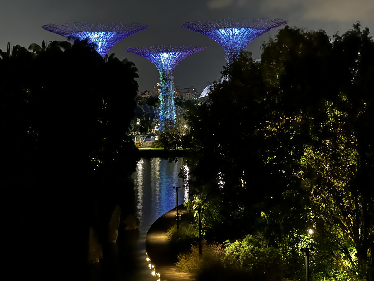 照片 新加坡(Singapore) 滨海湾花园(Garden by the bay) 2023-01 23