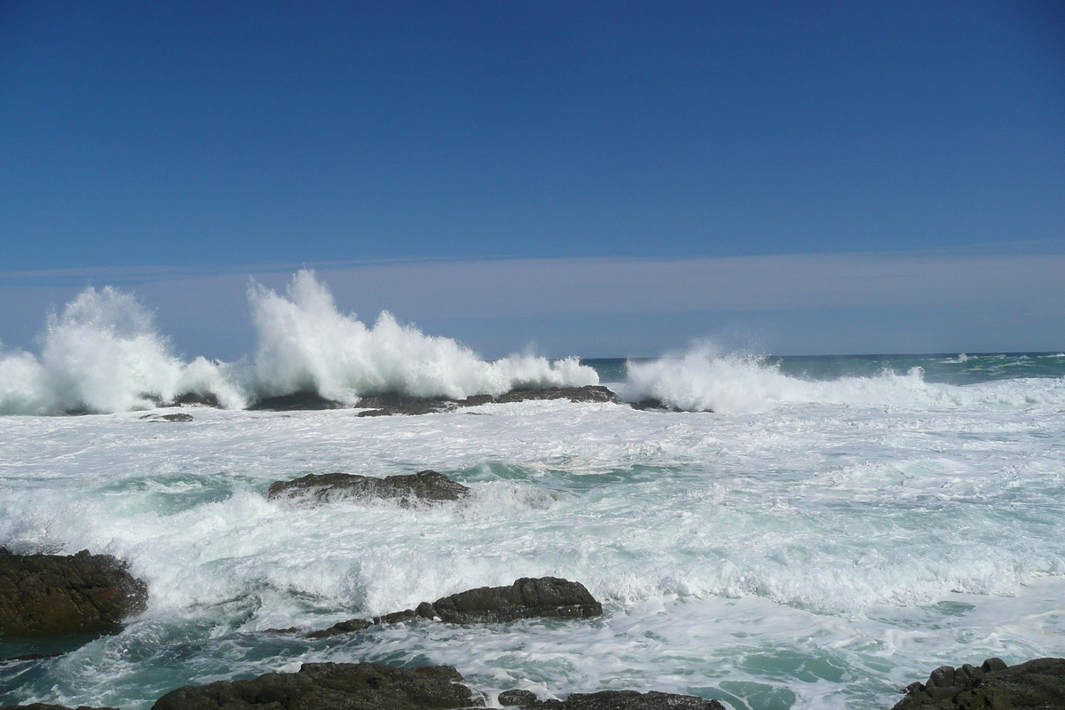 照片 南非(South Africa) 齐齐卡马国家公园(Tsitsikamma National Park) 2008-09 347
