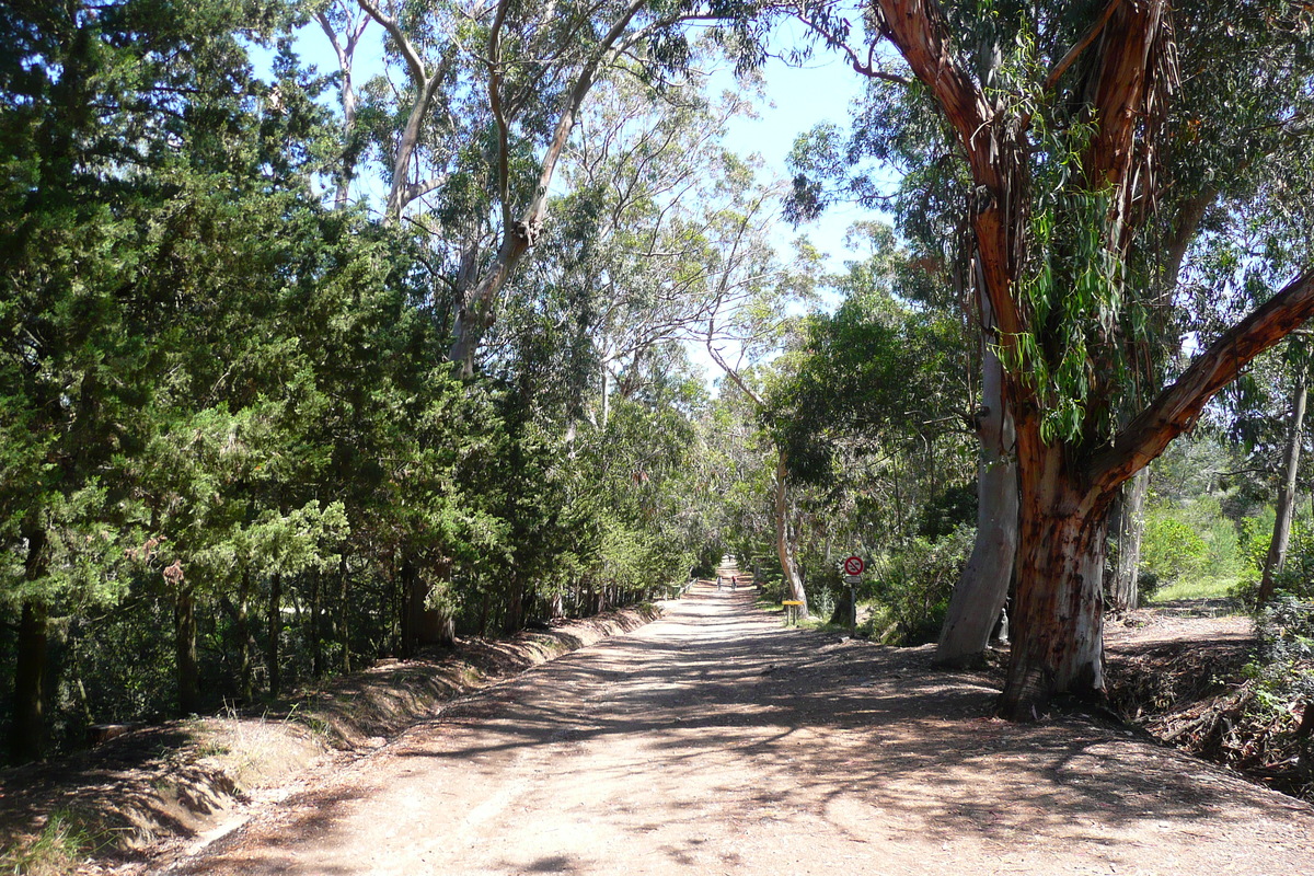 照片 法国(France) 波克罗勒岛(Porquerolles Island) 库尔塔德平原(Plaine de la courtade) 2008-05 27