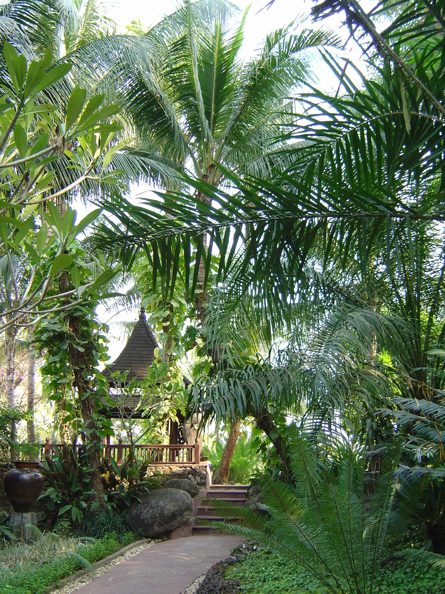 照片 缅甸(Myanmar) 仰光(Yangon) 甘达基宫殿酒店(Kandawgyi Palace Hotel) 2005-01 30