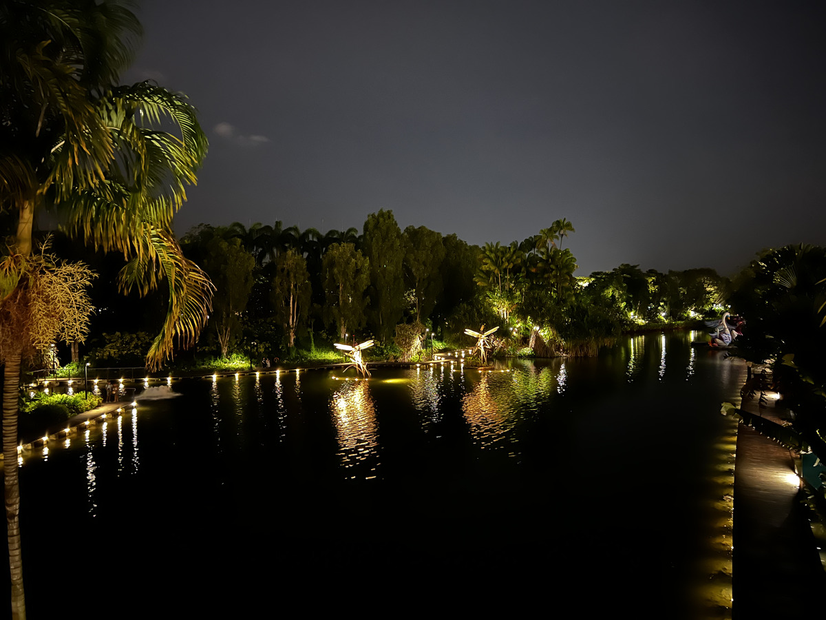 照片 新加坡(Singapore) 滨海湾花园(Garden by the bay) 2023-01 31