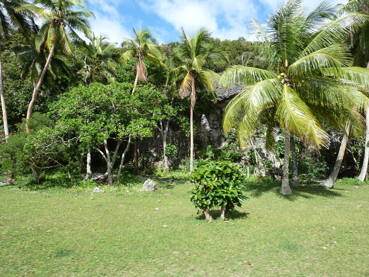 照片 新喀里多尼亚(New Caledonia) 利富岛(Lifou) 约西普(Josip) 2010-05 0