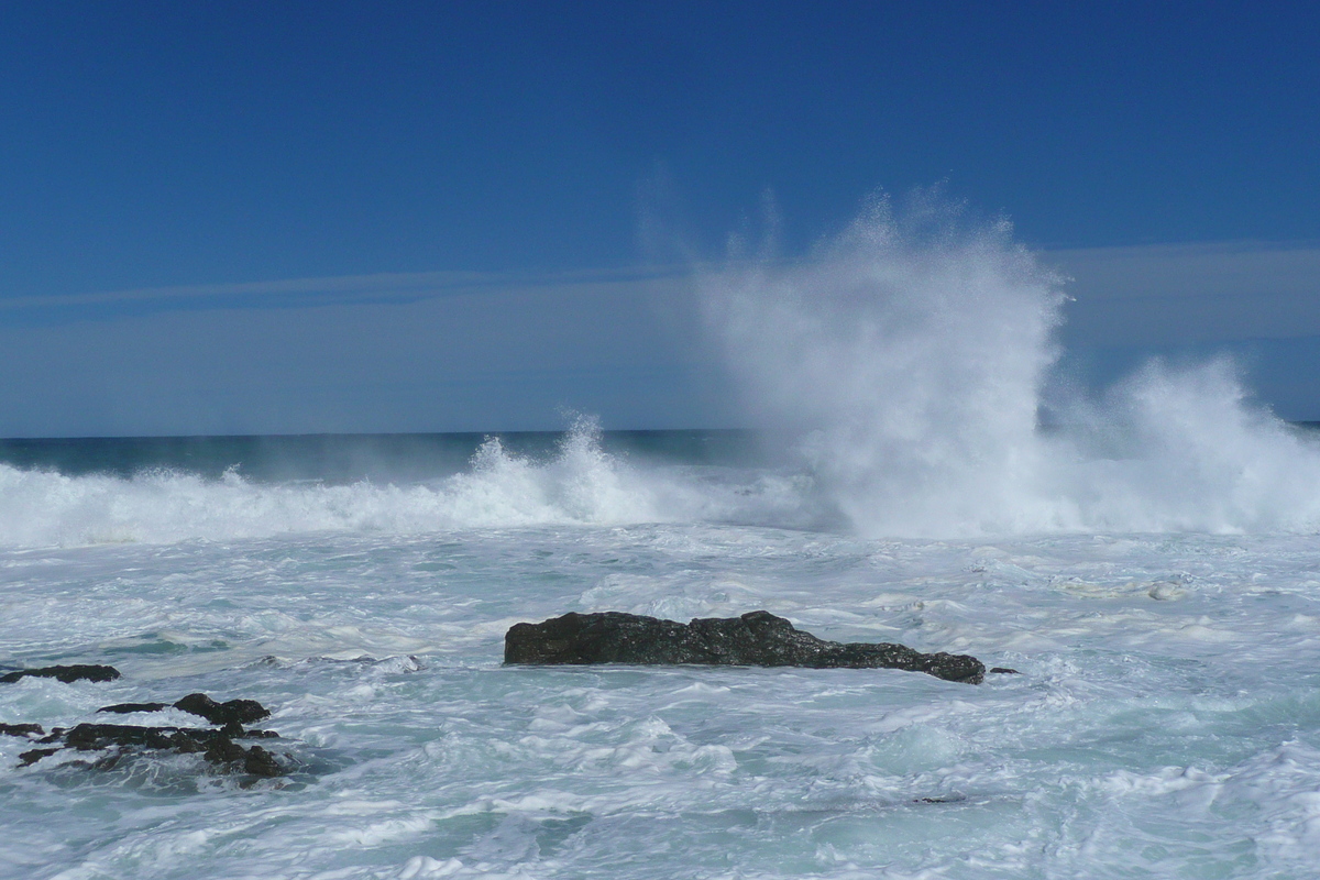 照片 南非(South Africa) 齐齐卡马国家公园(Tsitsikamma National Park) 2008-09 117