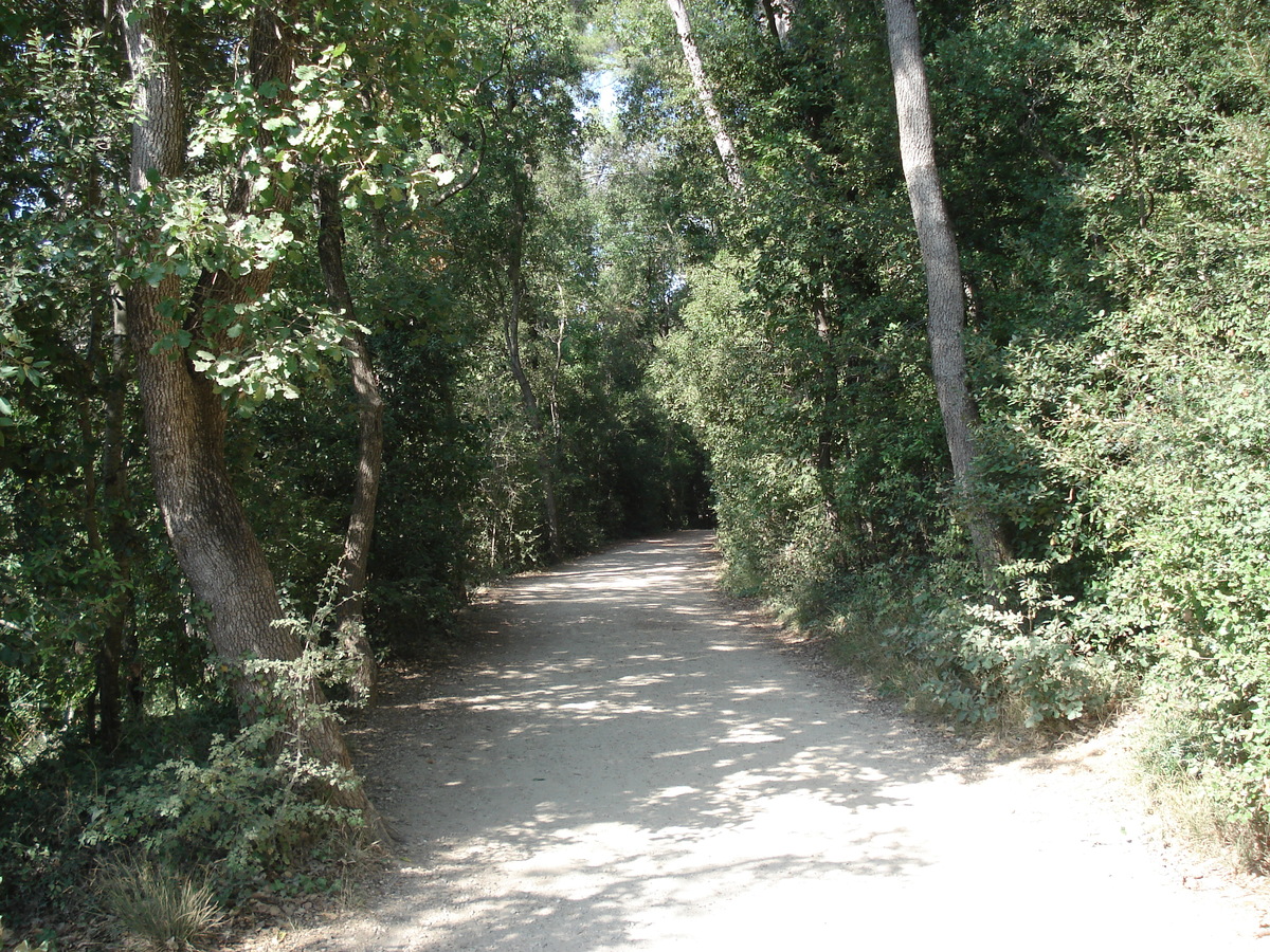 照片 法国(France) 维尔讷夫卢贝(Villeneuve Loubet) 沃格勒尼耶公园(Parc de Vaugrenier) 2006-09 28