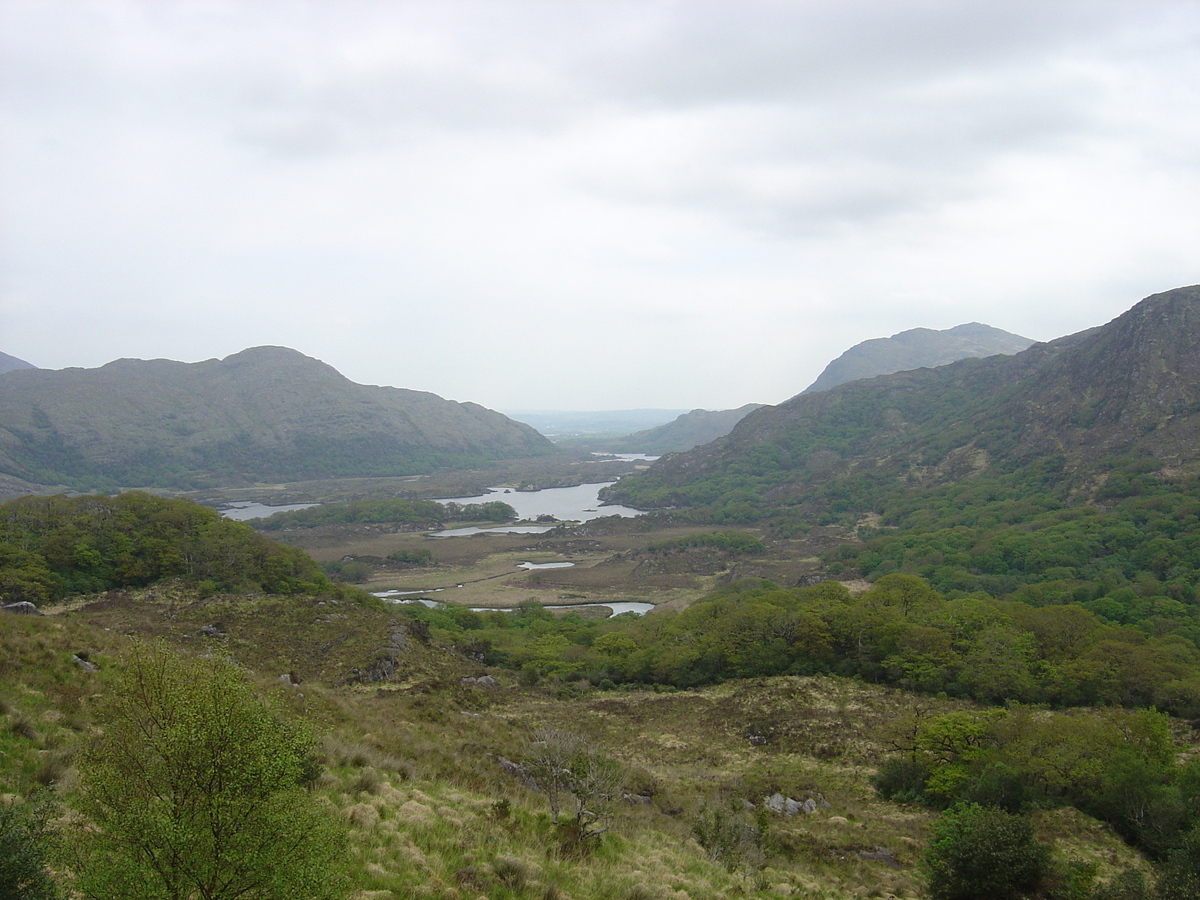 照片 爱尔兰(Ireland) 凯里郡(Kerry) 基拉尼国家公园(Killarney National Park) 2004-05 1