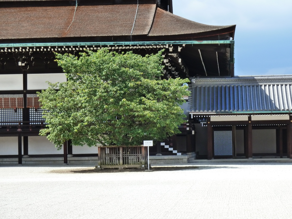 照片 日本(Japan) 京都(Kyoto) 京都御所(Kyoto Imperial Palace) 2010-06 38