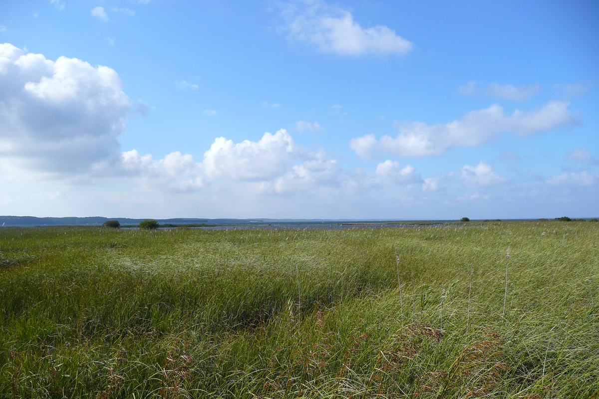 照片 法国(France) 莫比松(Maubuisson) 2007-08 29