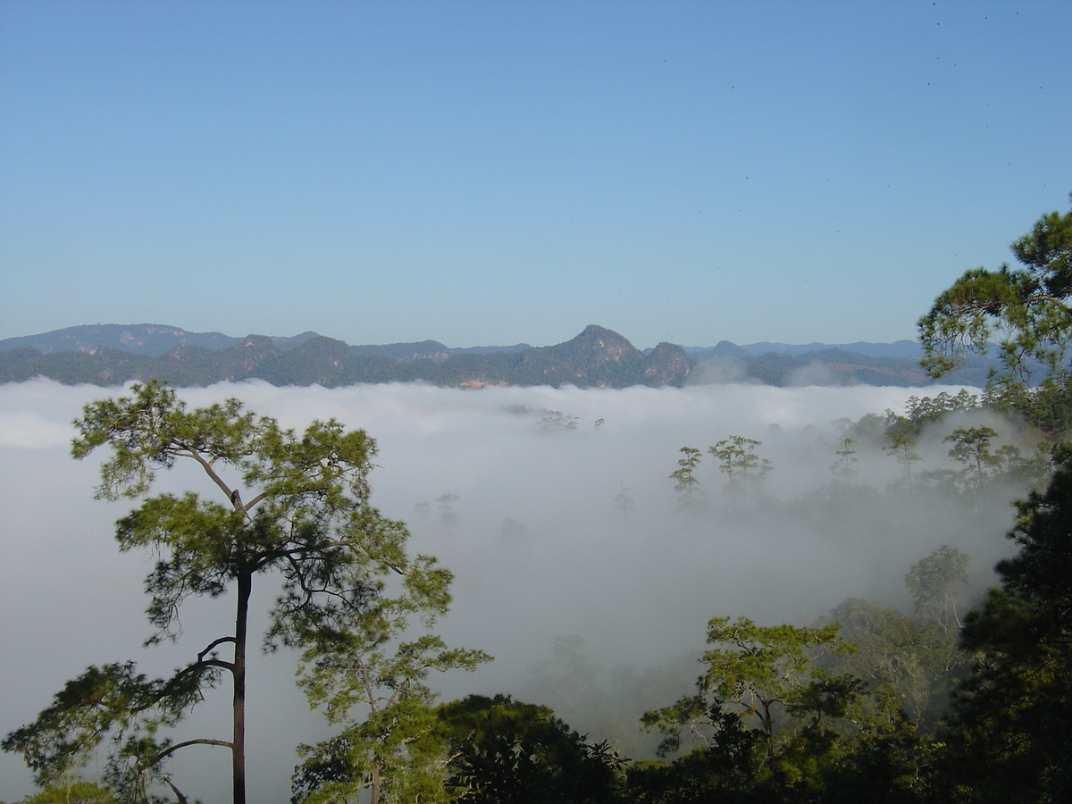 照片 泰国(Thailand) 邦玛帕(Pang Mapha) 2005-12 205