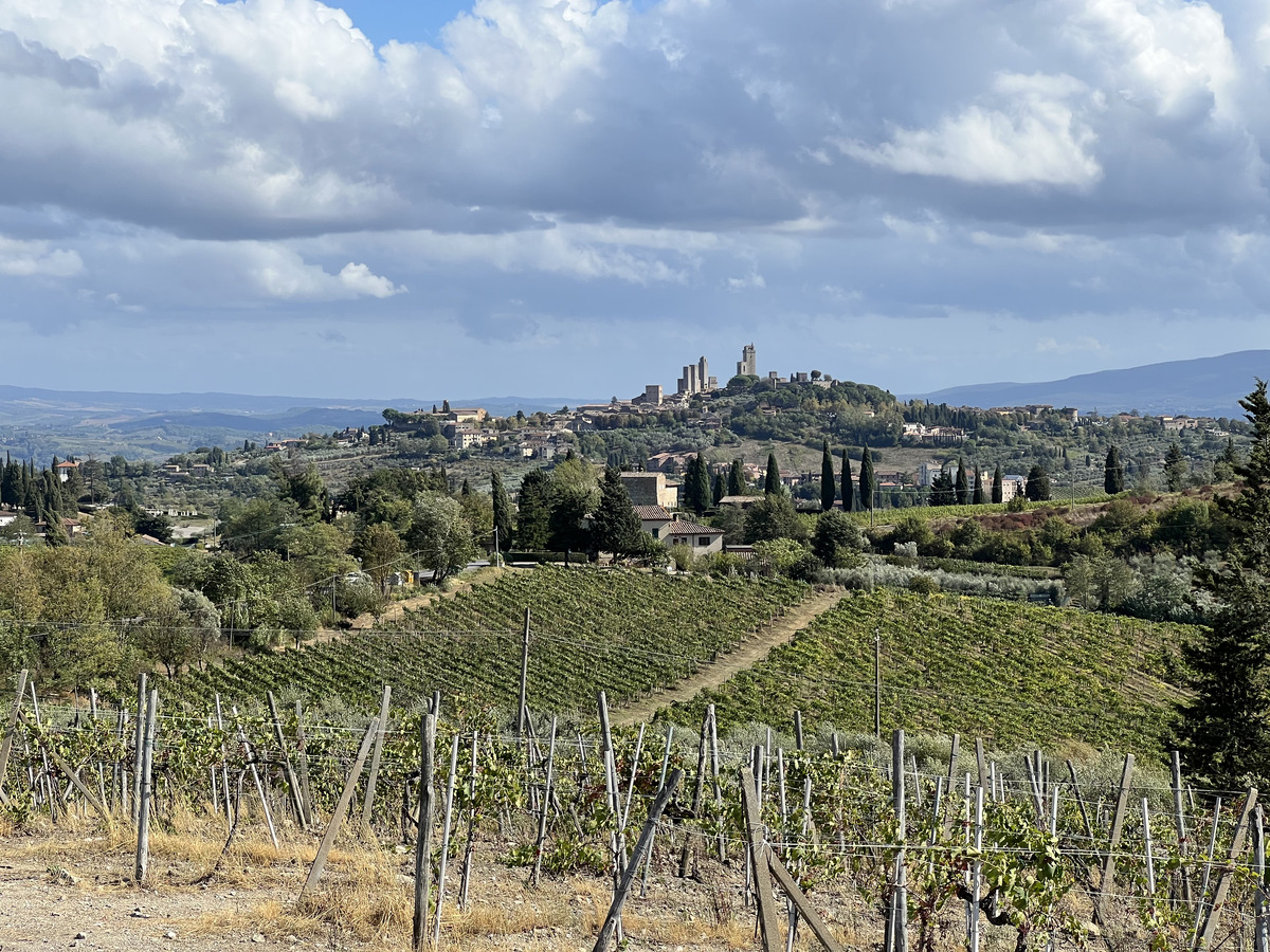照片 意大利(Italy) 托斯卡纳(Tuscany) 2021-09 1