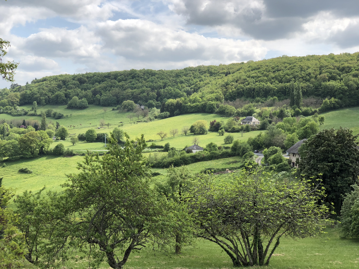 照片 法国(France) 蒂雷讷(Turenne) 2018-04 164