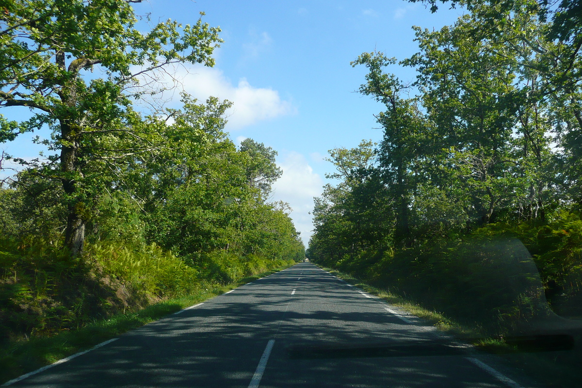 照片 法国(France) 吉伦特湖区公路(Gironde lakes road) 2007-08 1