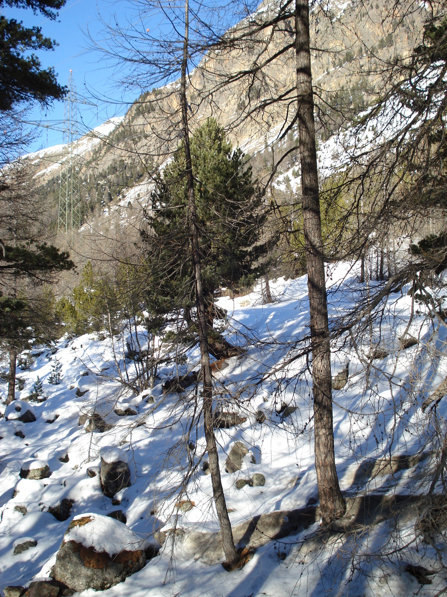 照片 瑞士(Switzerland) 蓬特雷西纳至比安科湖(From Pontresina to Lago Bianco) 2007-01 9