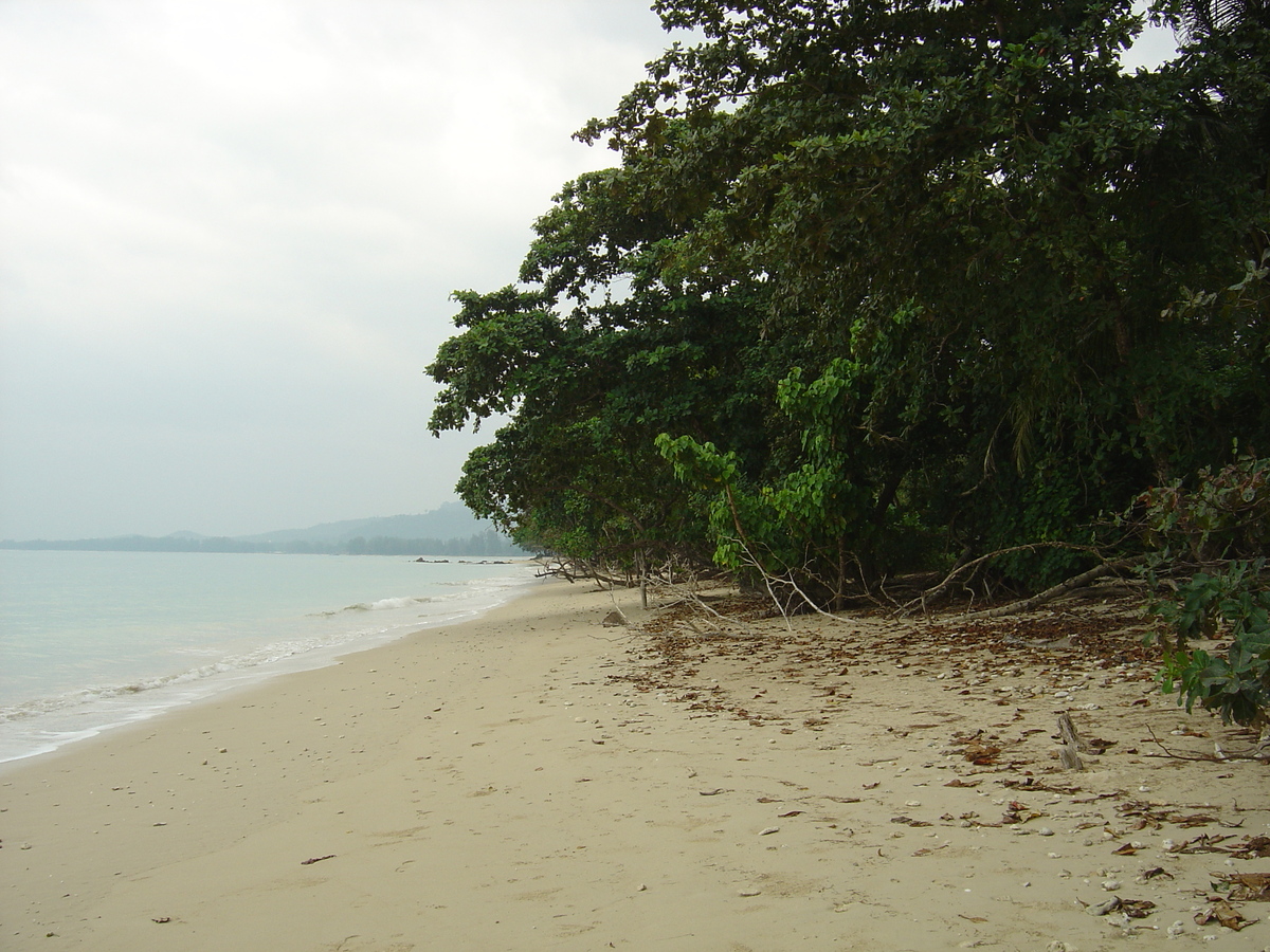 照片 泰国(Thailand) 考拉(Khao Lak) 邦萨海滩(Bang Sak Beach) 2005-12 22