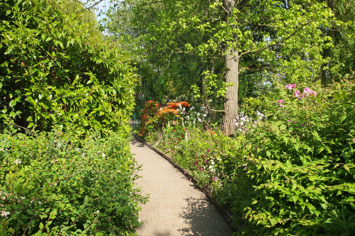 照片 法国(France) 吉维尼(Giverny) 2013-06 213