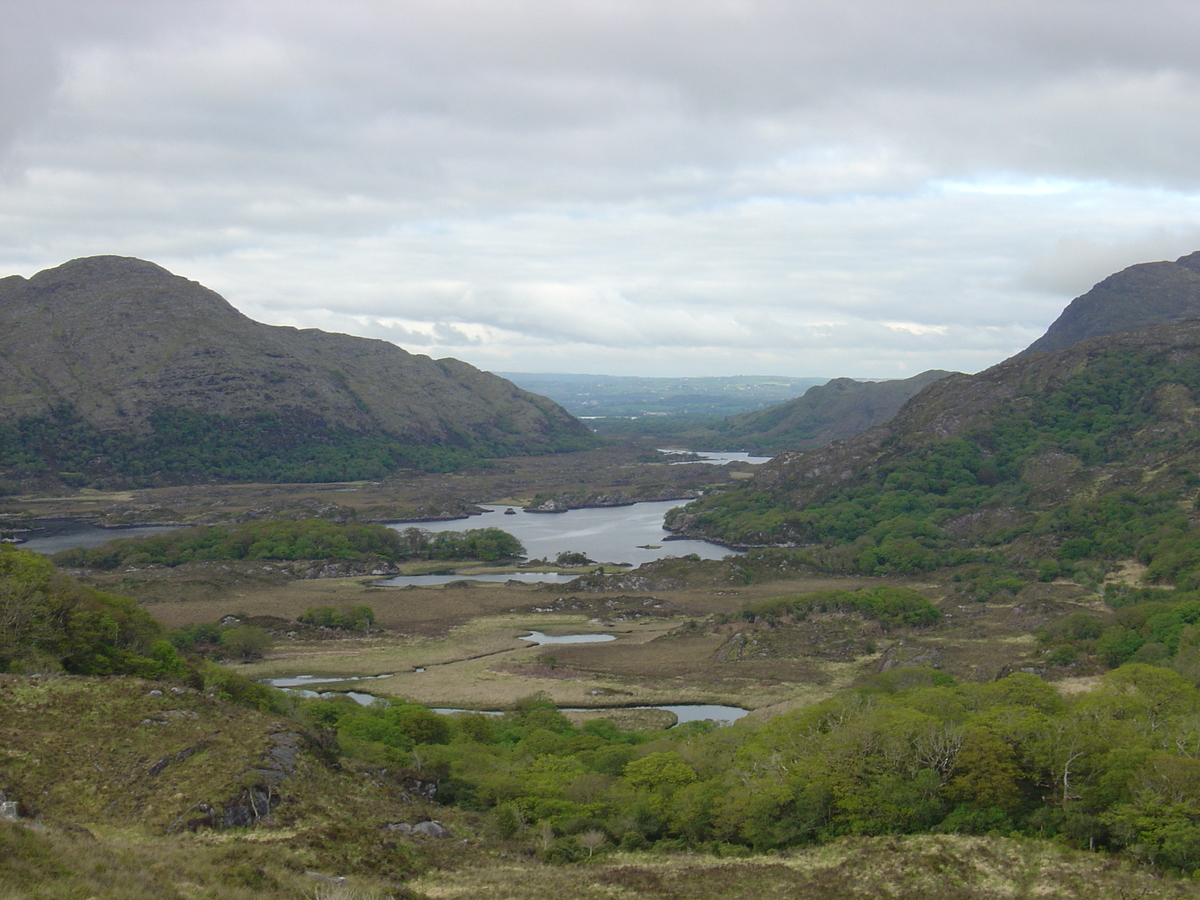 照片 爱尔兰(Ireland) 凯里郡(Kerry) 基拉尼国家公园(Killarney National Park) 2004-05 43