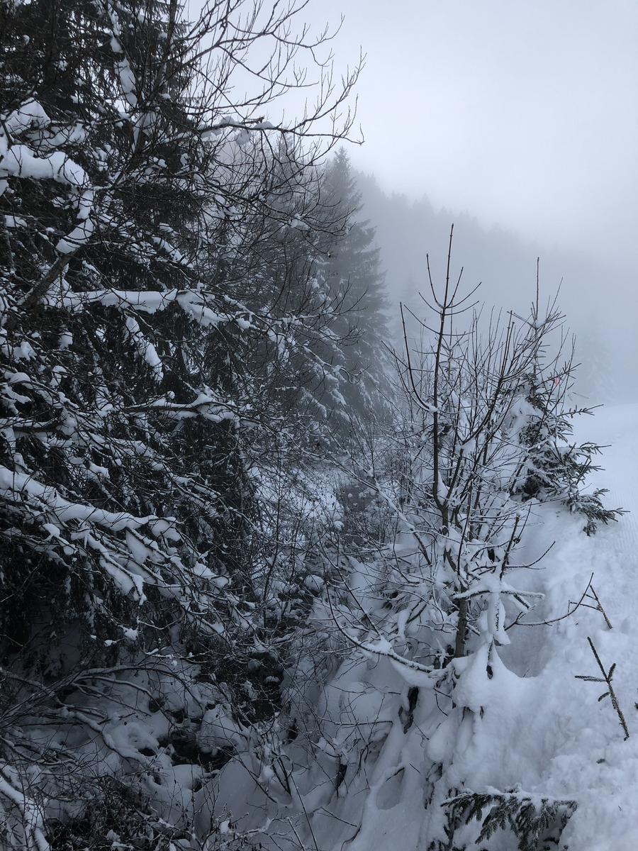 照片 法国(France) 拉克吕萨(La Clusaz) 2017-12 181
