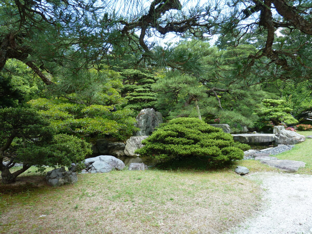 照片 日本(Japan) 京都(Kyoto) 京都御所(Kyoto Imperial Palace) 2010-06 114