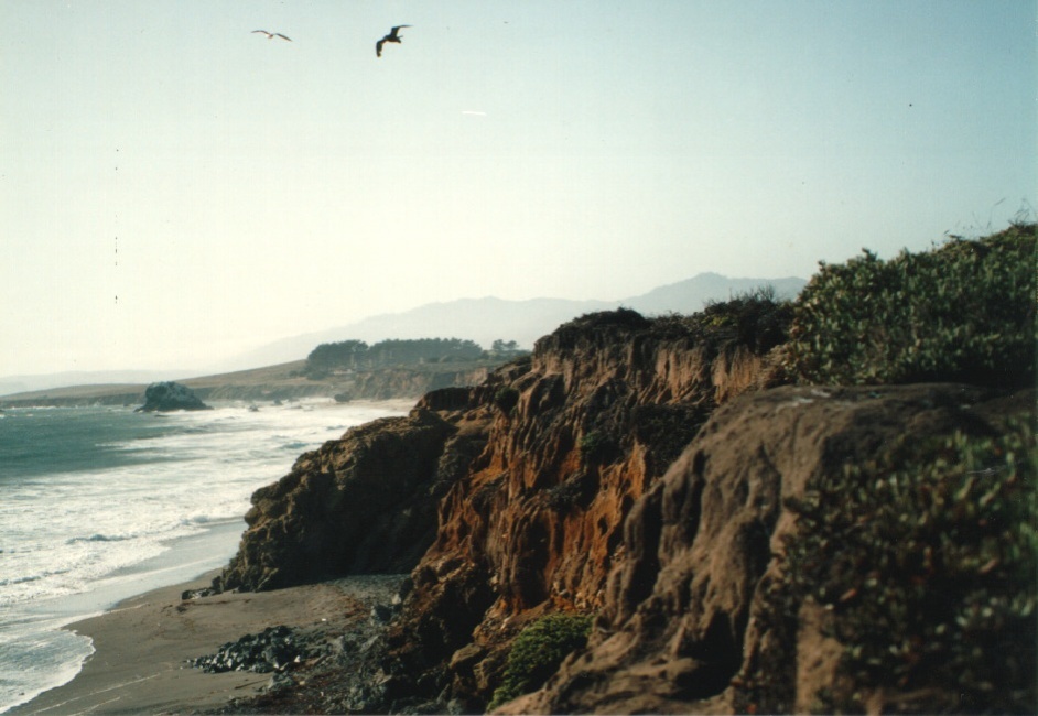 照片 美国(United States) 加利福尼亚(California) 1992-08 3