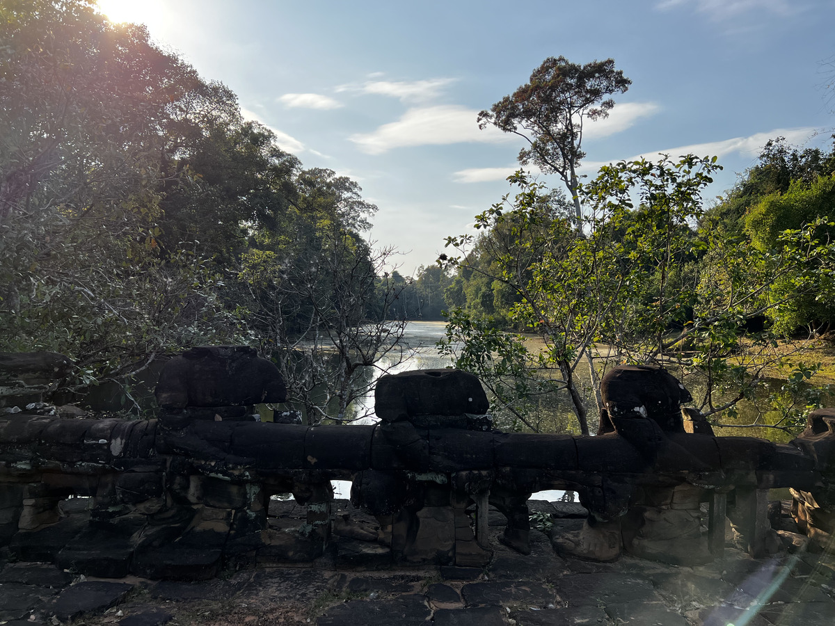 照片 柬埔寨(Cambodia) 暹粒(Siem Reap) 圣剑寺(Preah Khan) 2023-01 4