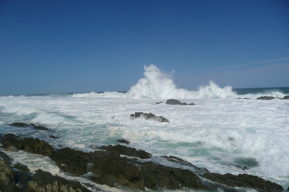 照片 南非(South Africa) 齐齐卡马国家公园(Tsitsikamma National Park) 2008-09 175