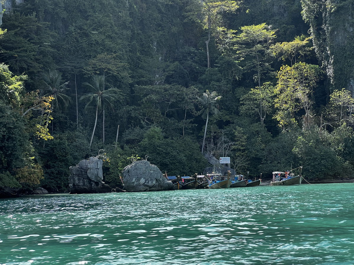 照片 泰国(Thailand) 小皮皮岛(Ko Phi Phi Ley) 2021-12 92