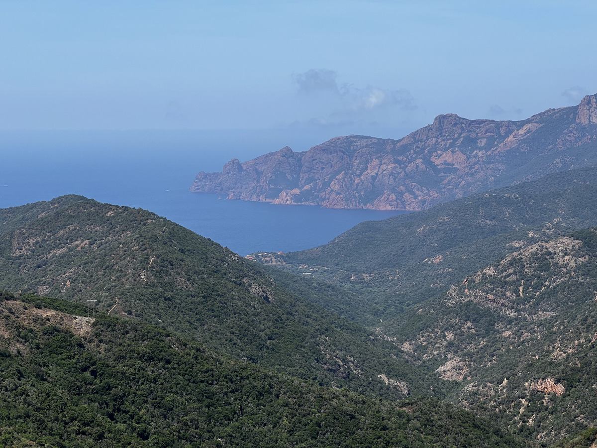 照片 法国(France) 科西嘉岛(Corsica) 奥萨尼(Osani) 2023-06 7
