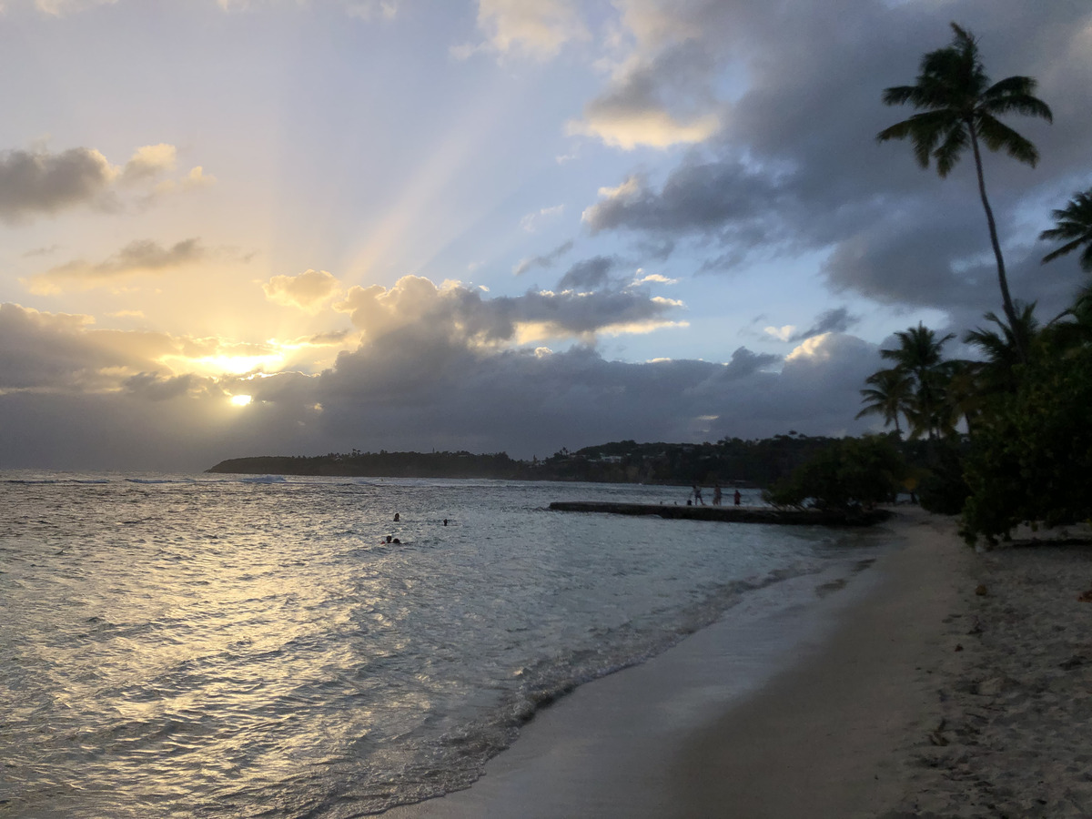 照片 瓜德罗普(Guadeloupe) 圣安妮(Sainte Anne) 2021-02 30