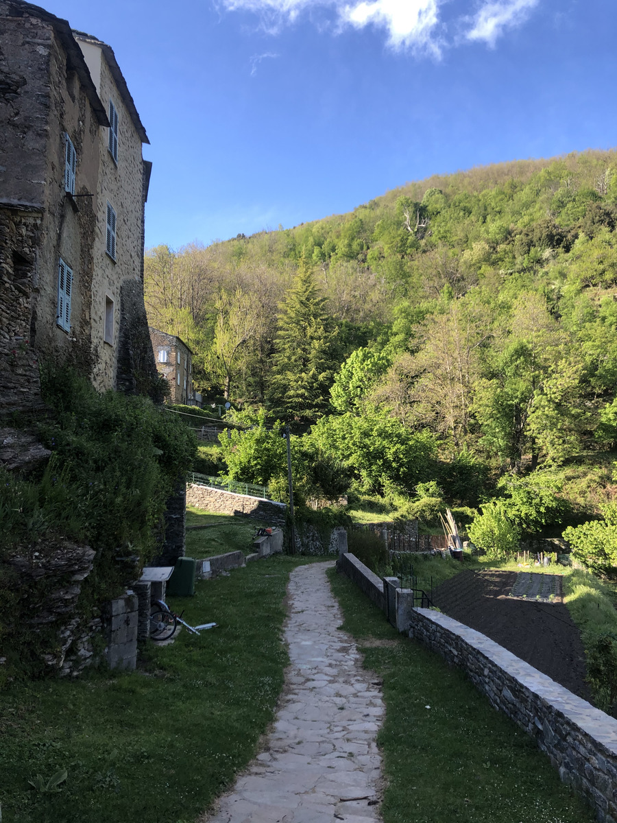 照片 法国(France) 科西嘉岛(Corsica) 2021-05 63